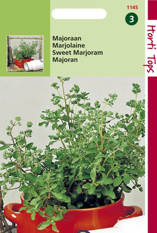 Marjoram (Origanum majorana) 3000 seeds